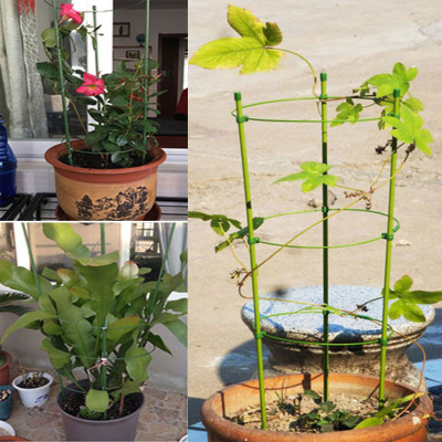 Plastic Flower Plant Support Frame Hanging Vines Shelf Clips Rings Clematis Climbing Rack Stick Cage
