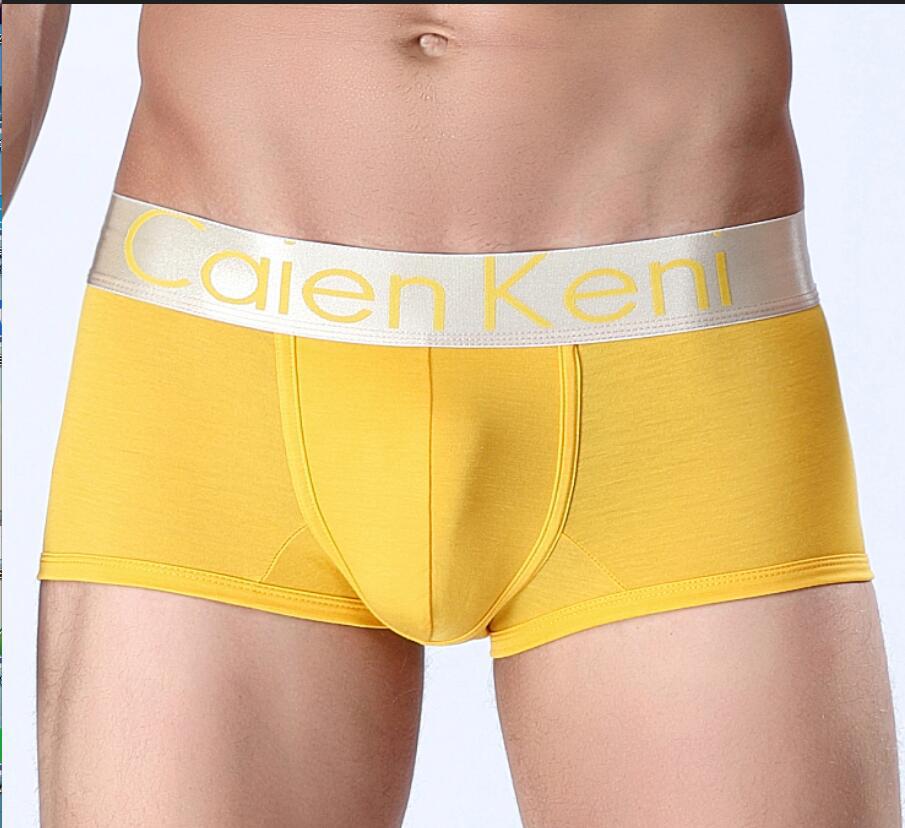 4 Pack Men&apos;s Trunk Boxer Shorts Cotton Underwear Knickers Panties