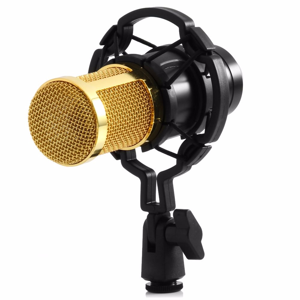 BM800 Studio Condenser Microphone for Radio Braodcasting Singing Recording computer