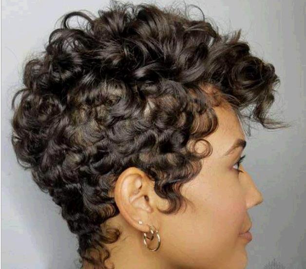 Ladies black Wig Small Curly Wig Cover Fashion Style Short Wigs