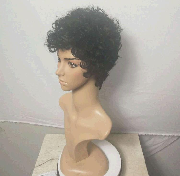 Ladies black Wig Small Curly Wig Cover Fashion Style Short Wigs