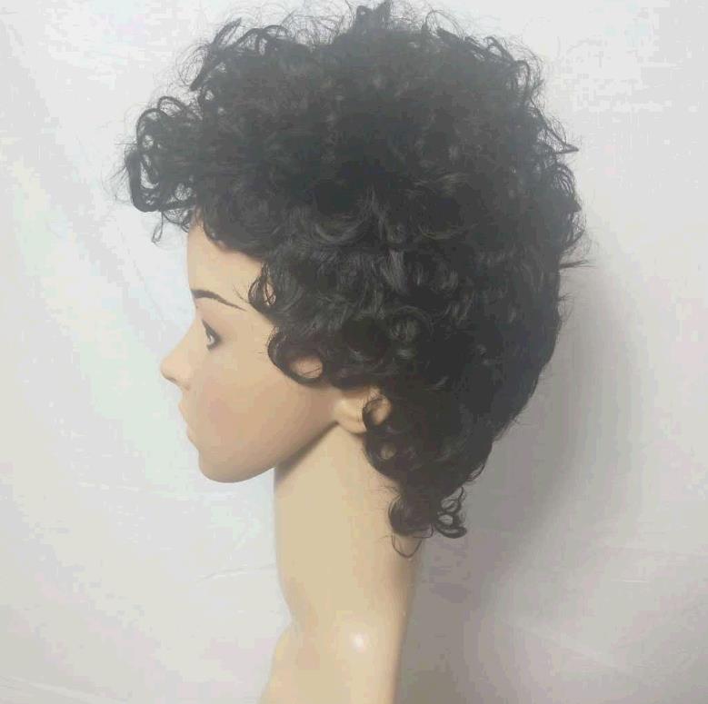 Ladies black Wig Small Curly Wig Cover Fashion Style Short Wigs