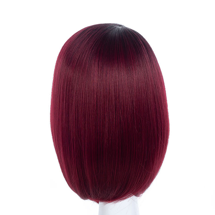 Wig Ladies Gradual fashion straight Wig Head Cover wigs