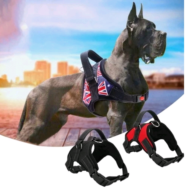 Dog Pet Explosion-proof Chest Soft Adjustable Harness Vest Collar Hand Strap for Pet Walk Out