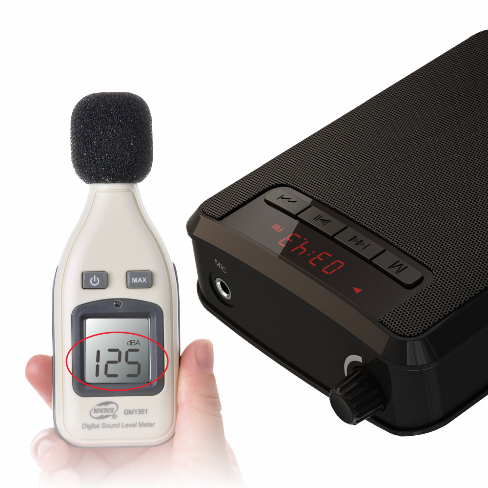 Mini Portable speaker With Microphone Voice Amplifier Booster Megaphone Speaker FM TF For Tour Guide