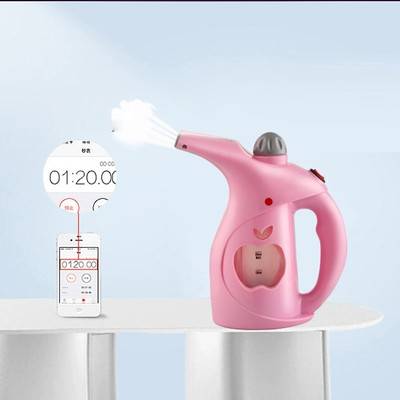 Household Garment Steamer Iron Portable Handheld Air Steamer Fabric Steamer For Clothes