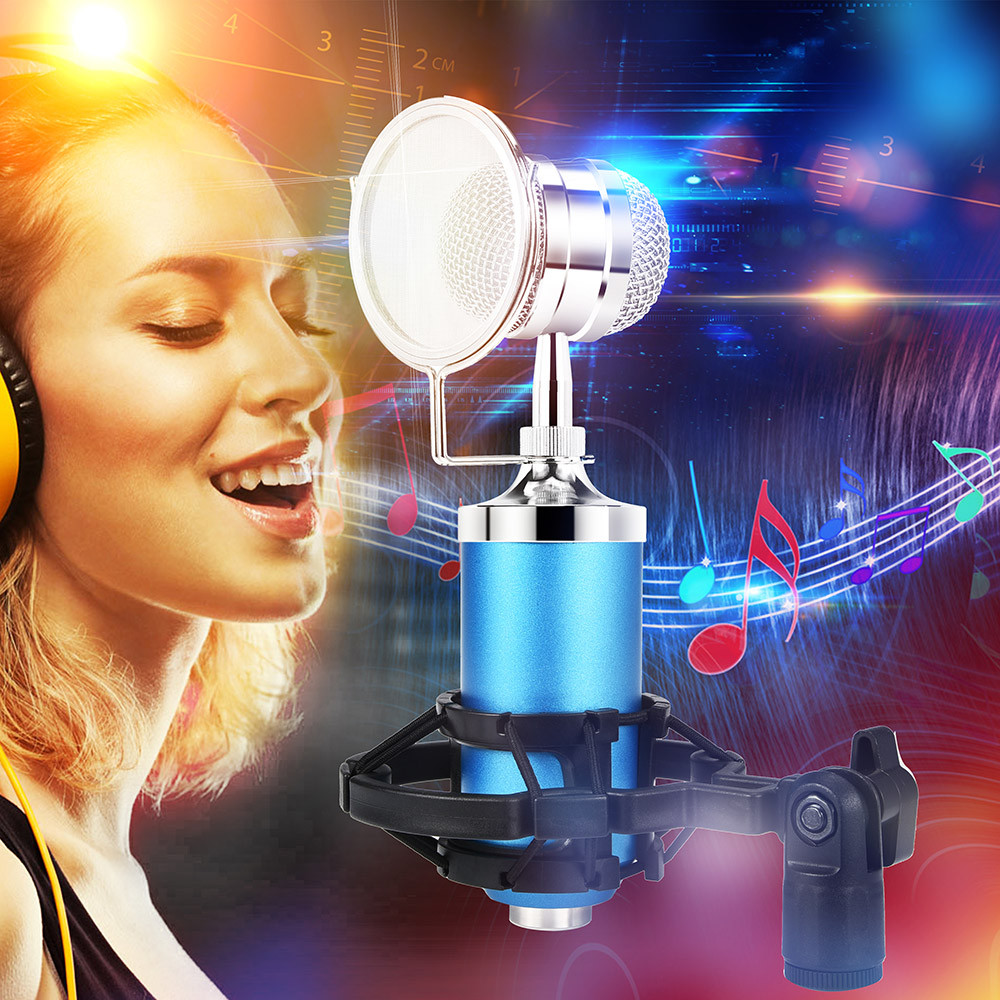 Professional Sound Studio Recording Condenser Microphone with Shock Mount 3.5mm Audio Cable