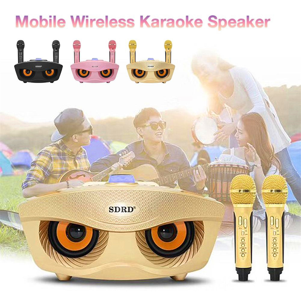 Bluetooth Karaoke Speaker Two Wireless Microphone Stereo Subwoofer 3D Stereo surround sound Speaker