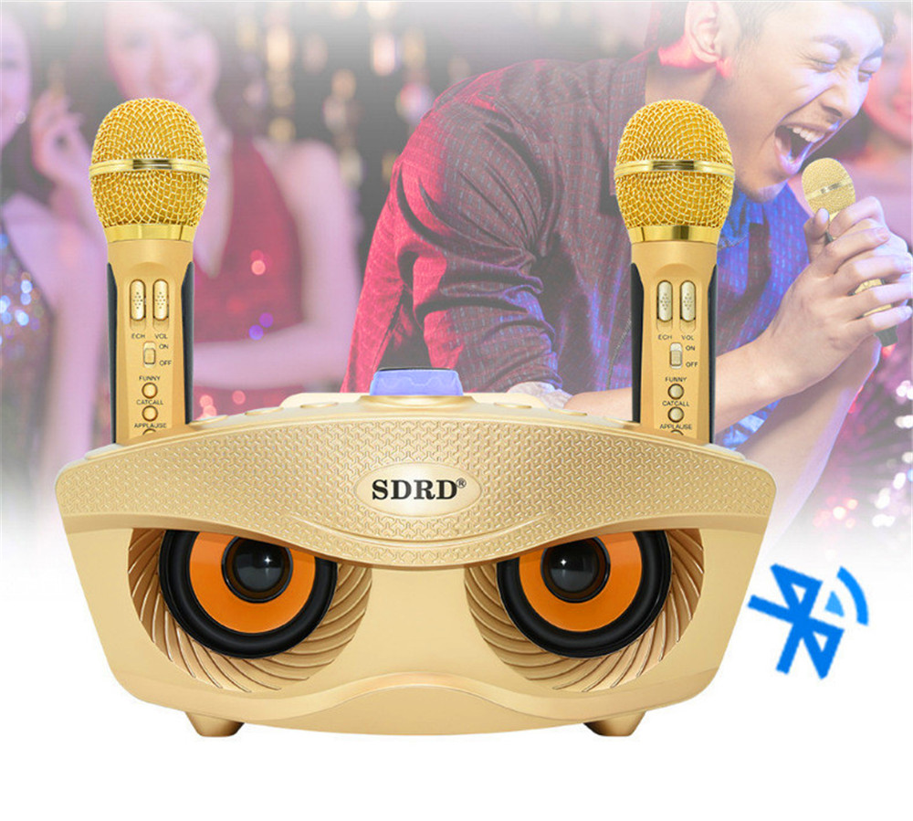 Bluetooth Karaoke Speaker Two Wireless Microphone Stereo Subwoofer 3D Stereo surround sound Speaker