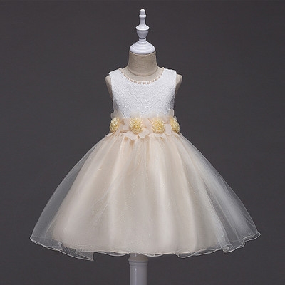 2021 High quality Girls Dresses Summer Style Girls Clothes Sleeveless Embroidery Design for Child kids Princess Dress