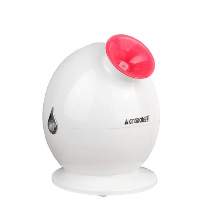 2021 High quality Hot steaming Facial Face Steamer Deep Pores Cleanser Mist Ion Sprayer Spa Skin