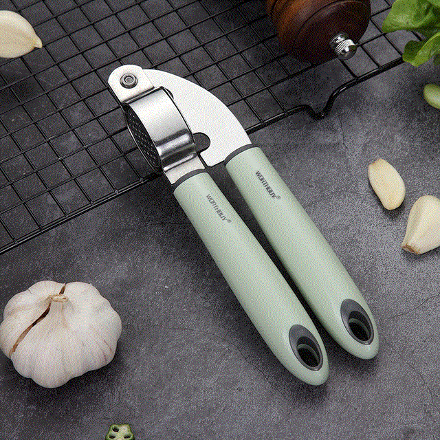 2021 High quality WORTHBUY Stainless Steel Garlic Press Ginger Chopper Kitchen Vegetable Tools Garlic Grinder Crusher With Plastic Handle