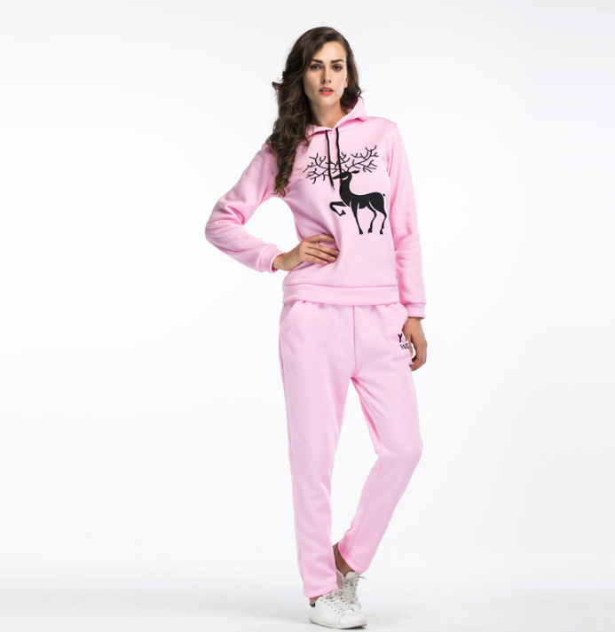 2pcs Hooded Casual Tracksuit Suits For Women Set Hoodies Sweatshirt+pant Women&apos;s Suit Sweatsuit