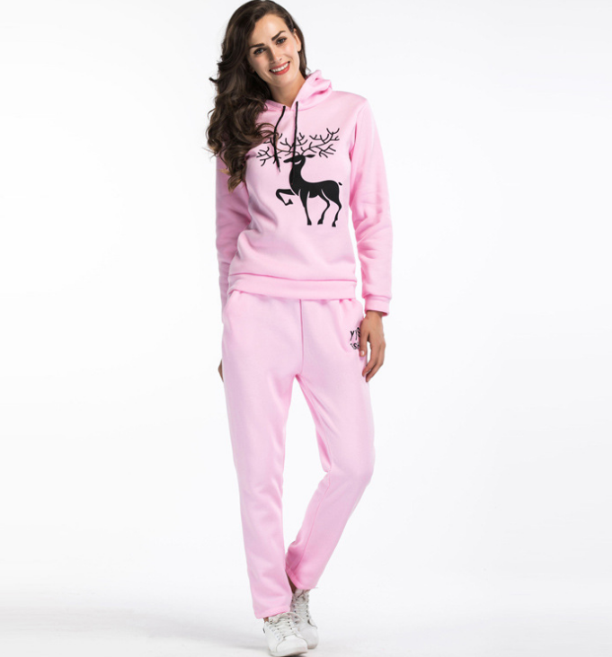 2pcs Hooded Casual Tracksuit Suits For Women Set Hoodies Sweatshirt+pant Women&apos;s Suit Sweatsuit