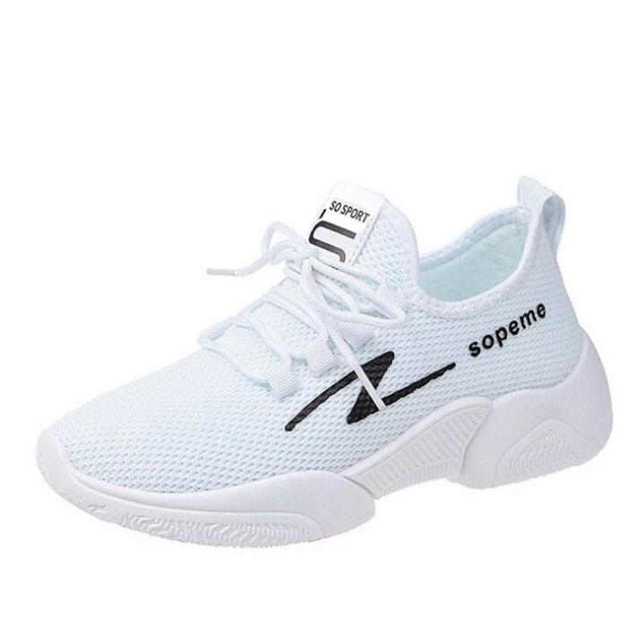 Women Casual Shoes Breathable Walking Mesh Flat Shoes Sneakers Women 2019 Gym Vulcanized Tenis
