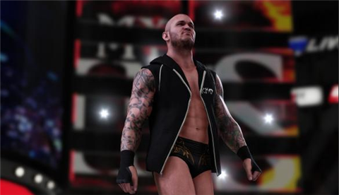 PS4 Games WWE2K19  Two-player game