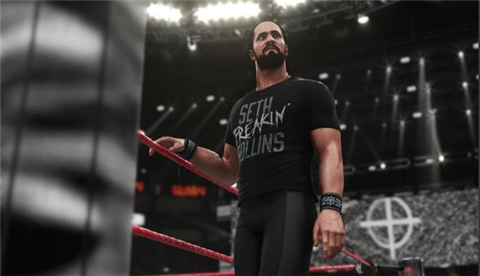 PS4 Games WWE2K19  Two-player game