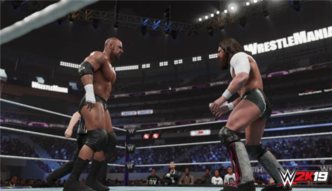PS4 Games WWE2K19  Two-player game