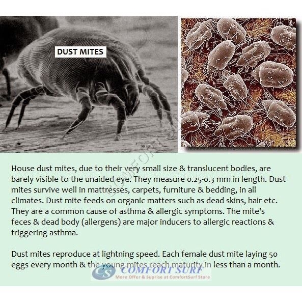 Anti dust mites UV Vacuum Dust Cleaner Remove Mite for Bed Sofa Carpet  handheld