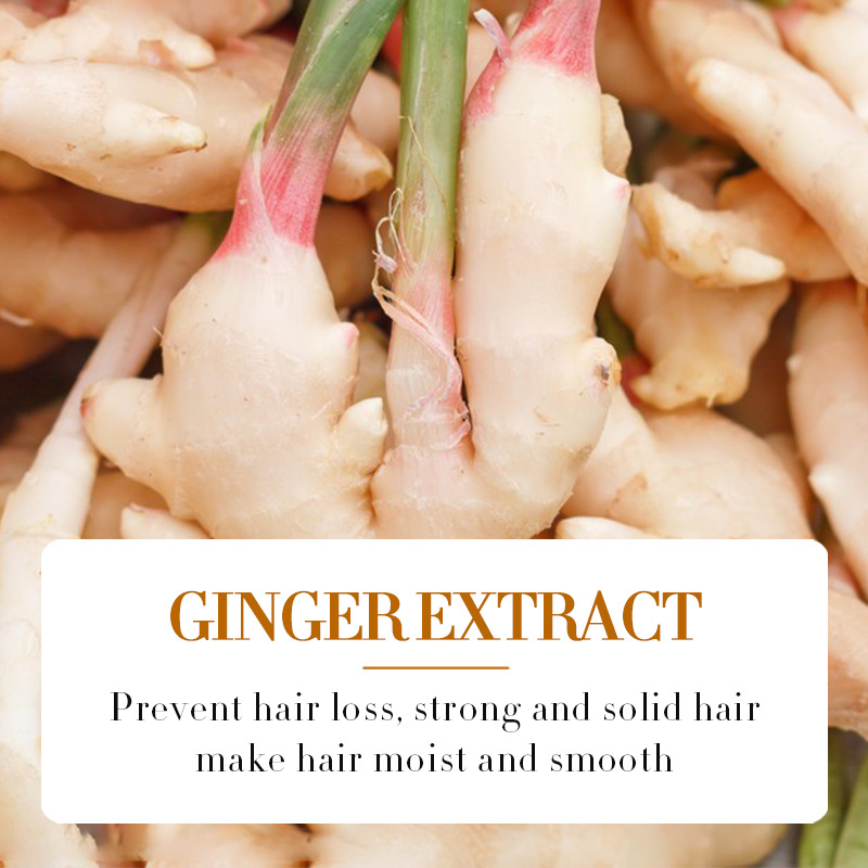 Hair Growth oil Serum Sadoer Ginger Essence Hair Care Serum minoxidil Hair Softening and Hair Moisturizer use with a Derma roller 0.5mm for best hair growth results SadoerHairSerum 30ml