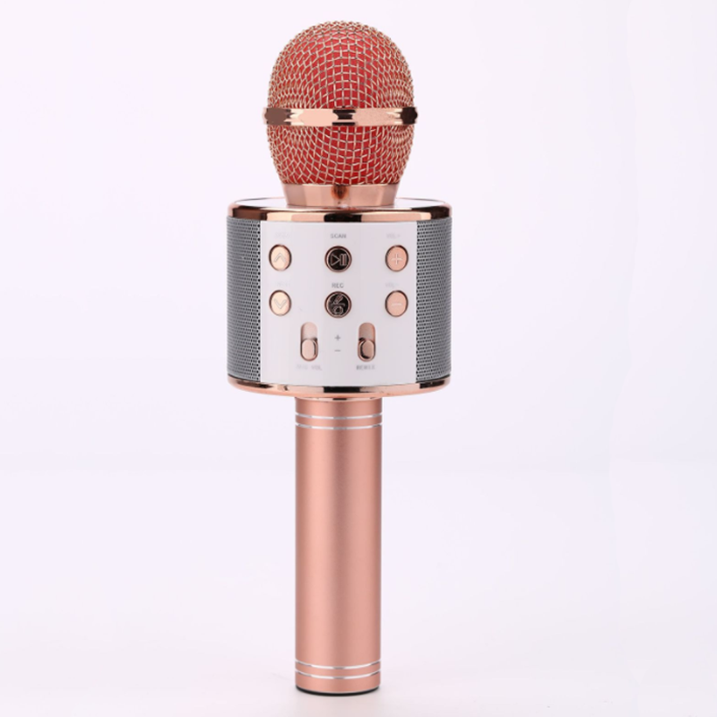 Phone Wireless Speakers system home audio integrated music live music Bluetooth wireless microphone