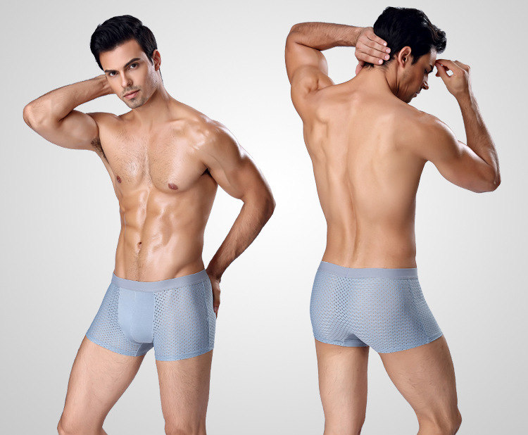 4Pcs Mesh Boxer Shorts Underwear Cool Ice Silk Men Boxers Underpants Super Breathable Sexy Panties