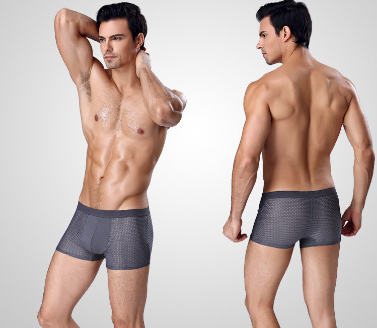 4Pcs Mesh Boxer Shorts Underwear Cool Ice Silk Men Boxers Underpants Super Breathable Sexy Panties