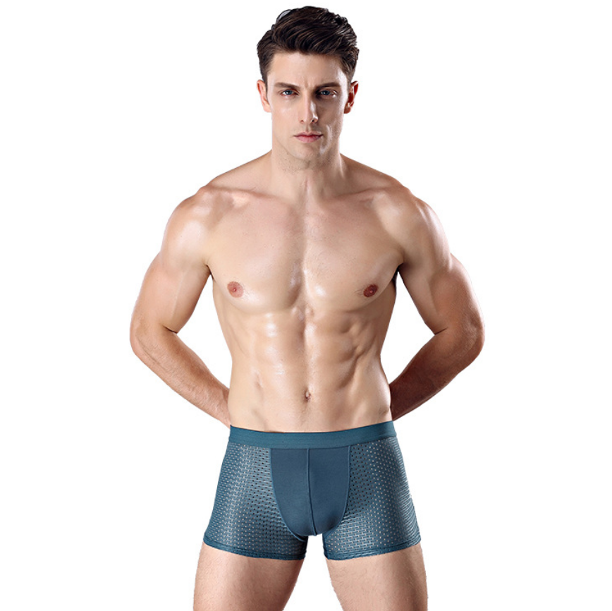 4Pcs Mesh Boxer Shorts Underwear Cool Ice Silk Men Boxers Underpants Super Breathable Sexy Panties