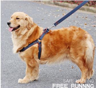 Pet Dogs Chest Strap Small Dog Traction Rope Pet Dog Chain Hyena Rope Nylon Collar  Pets Dog Collar