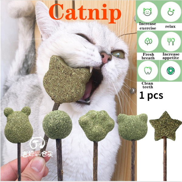catnip candy natural catnip molar toothpaste stick Matatabi pet cat snacks, suitable for cat toys