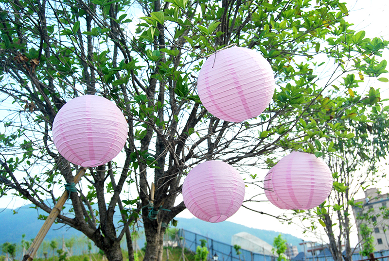 10 PCs Diameter 6" 8" 10" 12" 14" 16" Chinese Lamp Wedding Christmas Holiday Party Decorations Paper lanterns