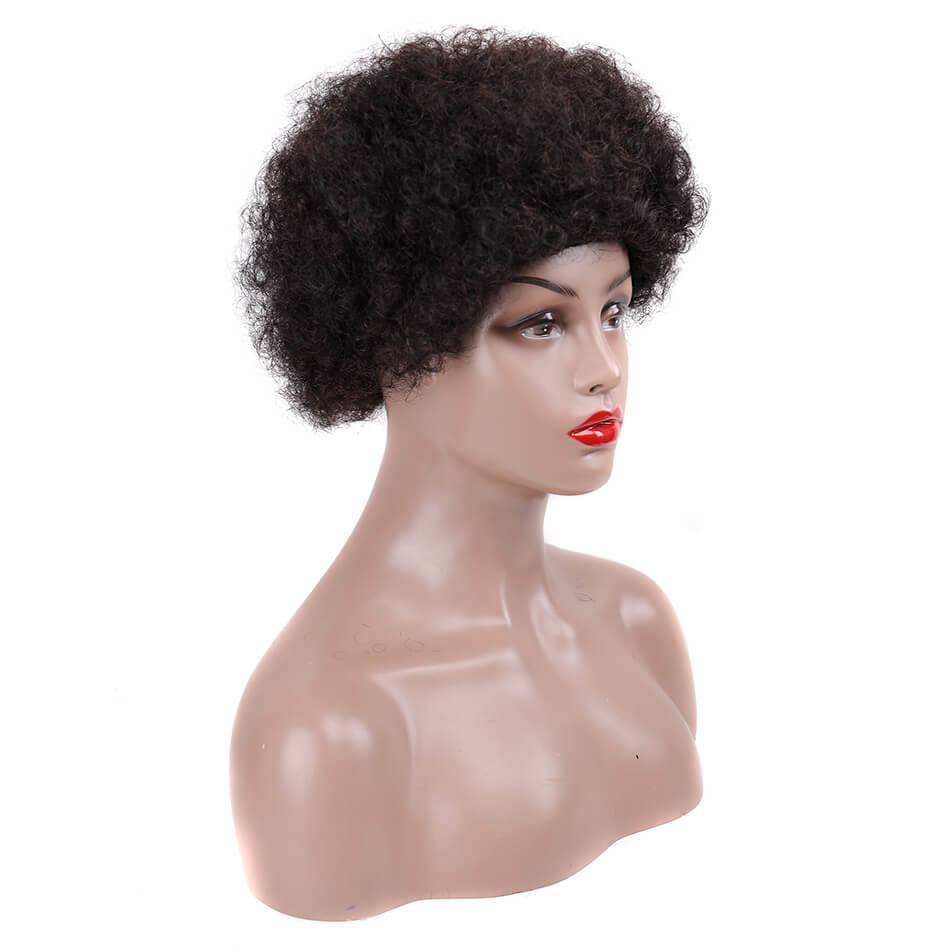 Afro Kinky Curly Wigs Short Fluffy Hair Wigs Kinky Curly 100% Human Hair Wig For Party Dance Cosplay Wigs