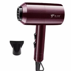 Powerful Low Noise Warm Cold Hot Wind Styling Mini Hair Dryer Professional Blowers Blow Dryer black DLY-8030