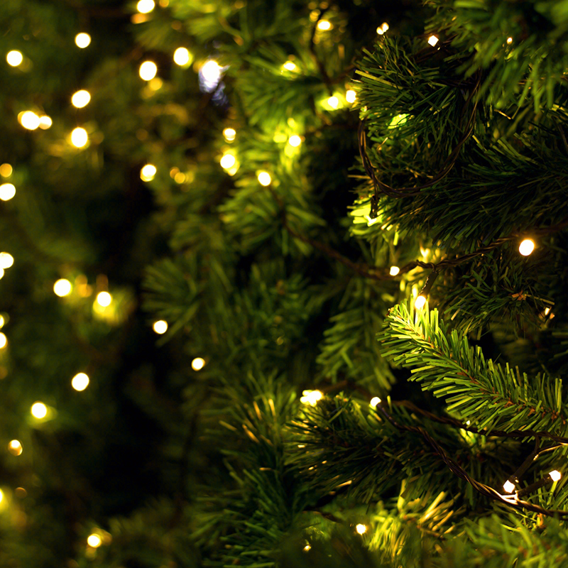 USB/Battery Power Ball LED String Lights Garland Lights Waterproof Outdoor Lamp Wedding Garden Fairy Lights Christmas Decor Fairy Lights 100LED String Lights Remote Control Timer Twinkle String Li