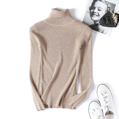 Turtleneck Warm Women Sweater Autumn Winter Femme Pull High Elasticity Soft Female Pullovers Sweater