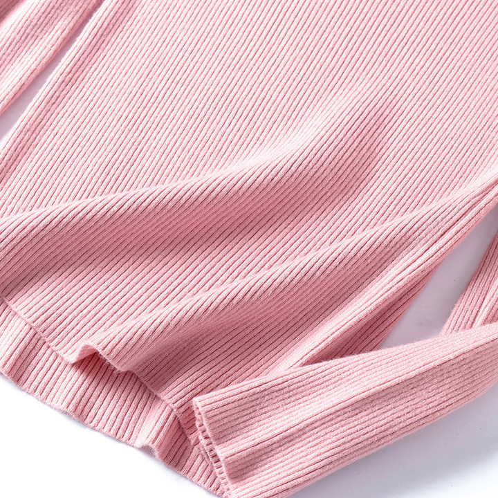 Turtleneck Warm Women Sweater Autumn Winter Femme Pull High Elasticity Soft Female Pullovers Sweater
