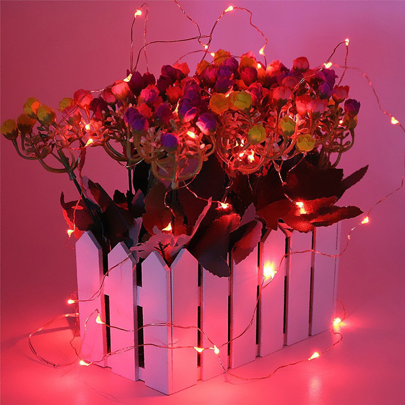 5*2M 20led Copper Wire LED String lights Holiday lighting Fairy Garland For Tree Wedding Party