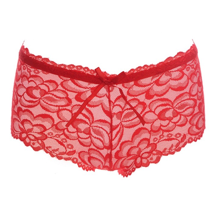 Women's Sexy Thong See-Through G-String Bikini Mesh Panties Underwear Gift For Women KZ6293