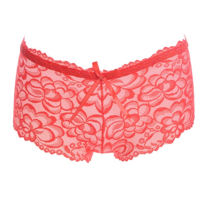 Women's Sexy Thong See-Through G-String Bikini Mesh Panties Underwear Gift For Women KZ6293