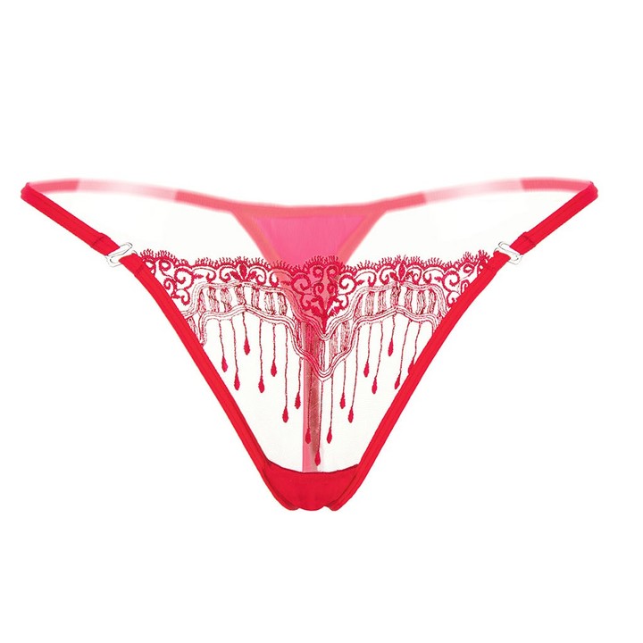 Sexy Triangle Bikini Swimsuits Embroidery Lace G-String Cheeky Hipster Panties For Women KZ6318