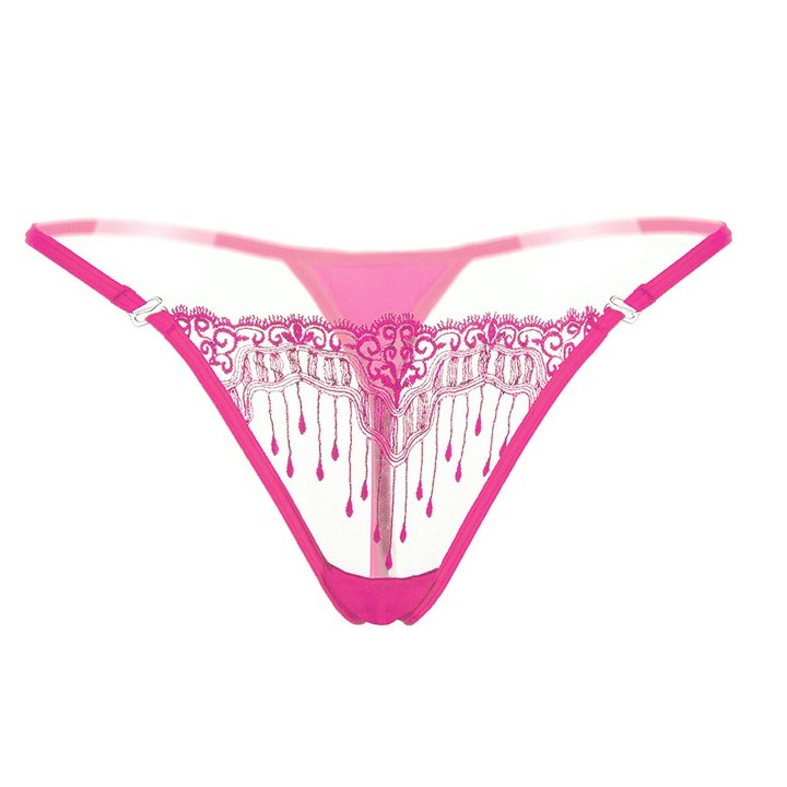 Sexy Triangle Bikini Swimsuits Embroidery Lace G-String Cheeky Hipster Panties For Women KZ6318