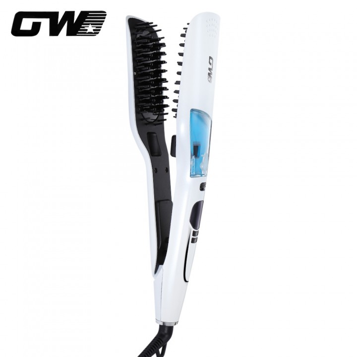 Guowei GW - 7613 Electric Steam Spray Infrared Ion