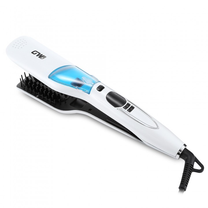 Guowei GW - 7613 Electric Steam Spray Infrared Ion