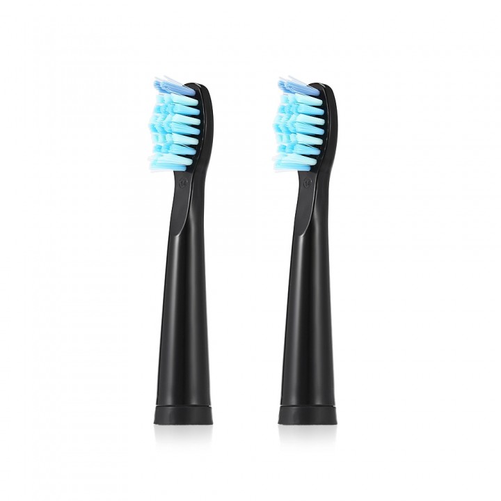 SEAGO E2 Waterproof Sonic Electric Toothbrush with