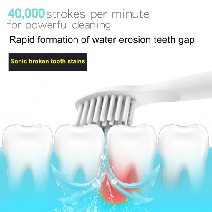 Seago SG-507 USB Rechargeable Electric Toothbrush Adult Waterproof Deep Clean