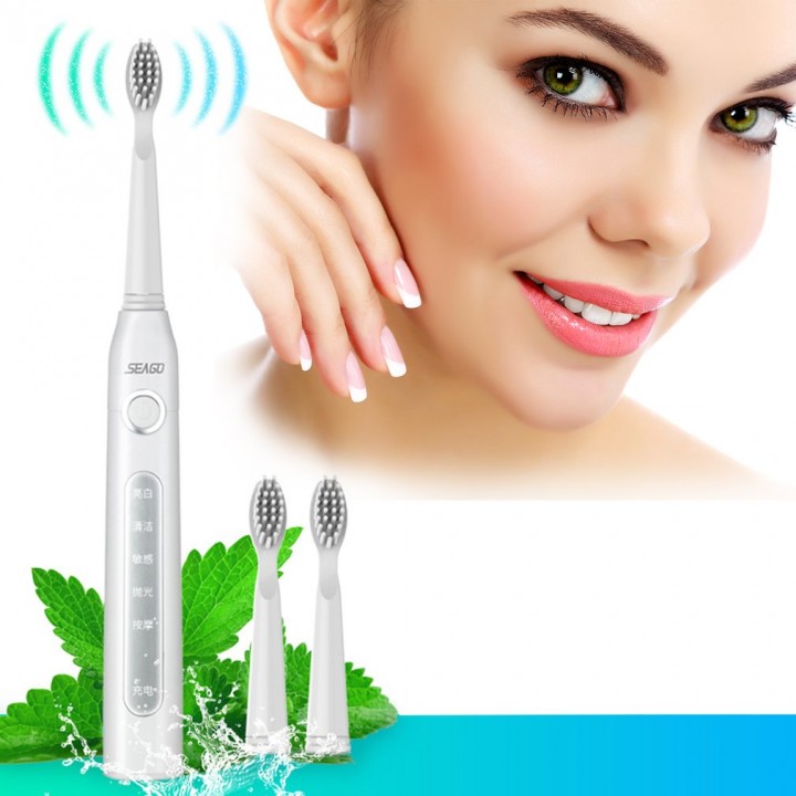 Seago SG-507 USB Rechargeable Electric Toothbrush Adult Waterproof Deep Clean