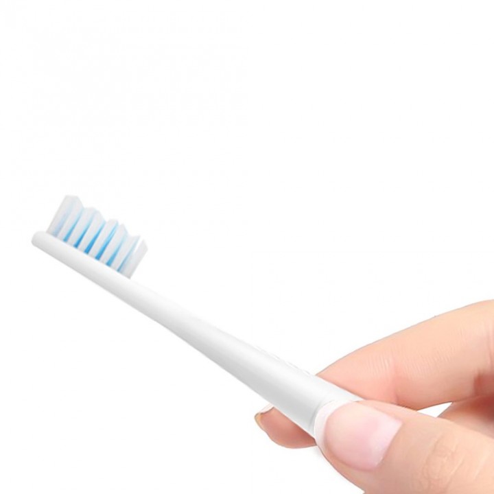 Seago SG-906 Sonic Electric Toothbrush Waterproof IPX7 for Adult Oral Care