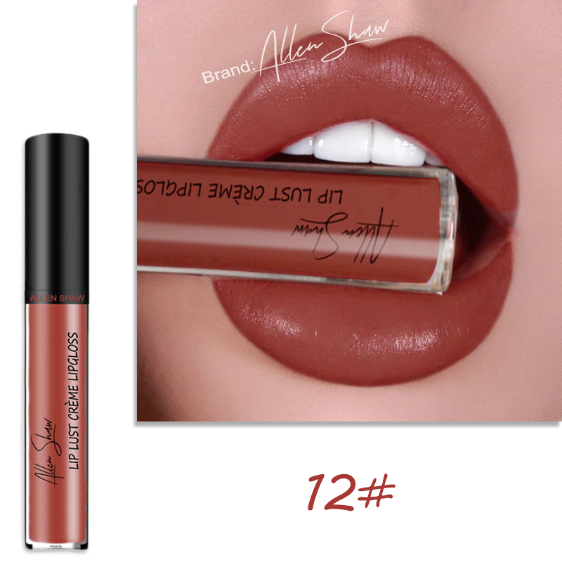 Lip Glaze Cream Lip Gloss European and American Cosmetics Beauty Makeup