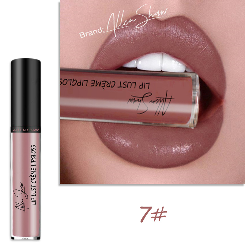 Lip Glaze Cream Lip Gloss European and American Cosmetics Beauty Makeup