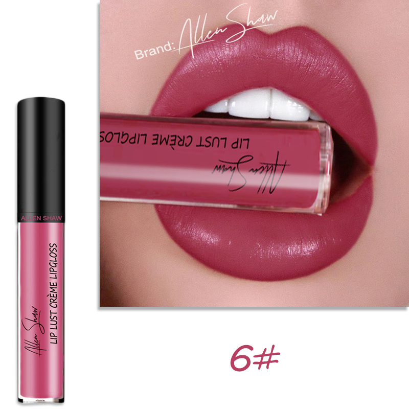 Lip Glaze Cream Lip Gloss European and American Cosmetics Beauty Makeup